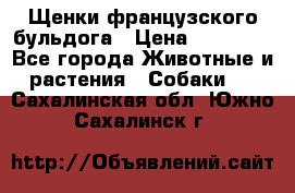Щенки французского бульдога › Цена ­ 30 000 - Все города Животные и растения » Собаки   . Сахалинская обл.,Южно-Сахалинск г.
